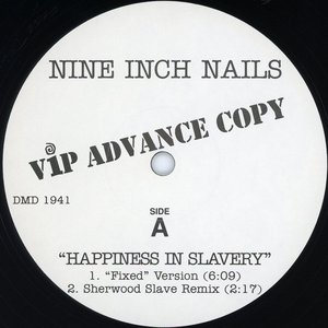 Happiness in Slavery