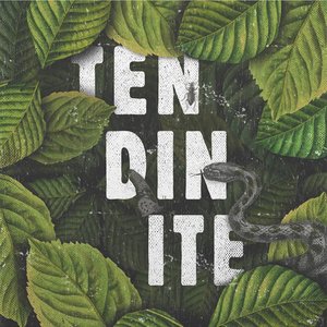 Tendinite