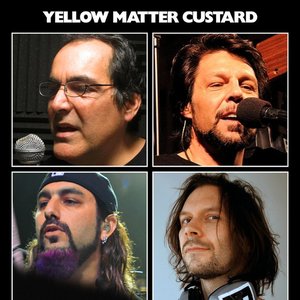 Yellow Matter Custard 的头像