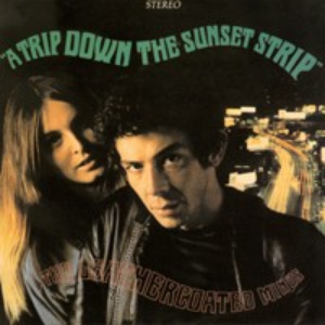 Leathercoated Minds photo provided by Last.fm