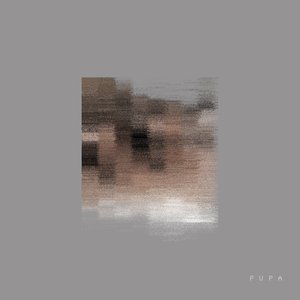 Avatar for Drosophelia