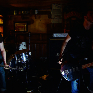 Manatees photo provided by Last.fm