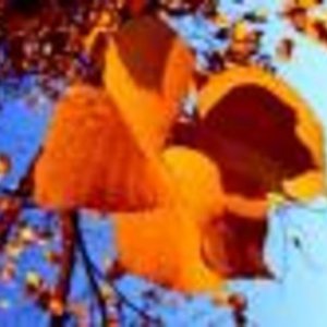 autumn means change