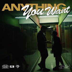 Anything You Want - Single