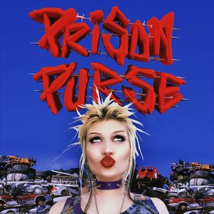 Prison Purse - Single