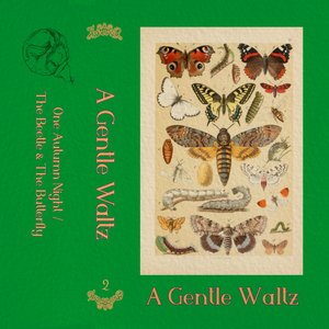 A Gentle Waltz