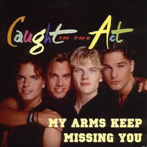 My Arms Keep Missing You