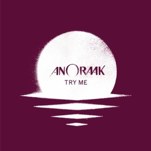 Anoraak - Try This - Zortam Music