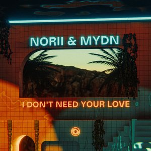I Don't Need Your Love