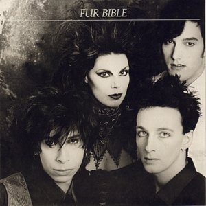 Avatar for Fur Bible