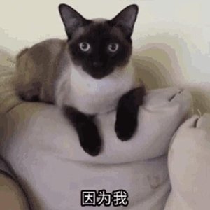 tbh i dont like being social - Single