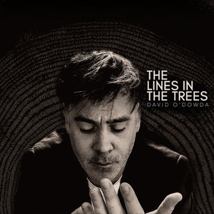 The Lines in the Trees - EP