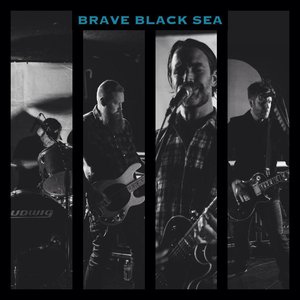 Аватар для Brave Black Sea