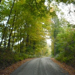 Catherine Todd ~ The River (IRS) 9.26.07