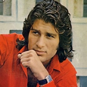 Mike Brant 的头像