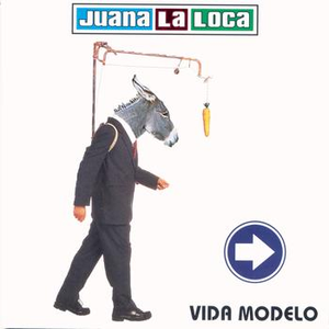 Vida modelo cover