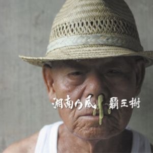 覇王樹