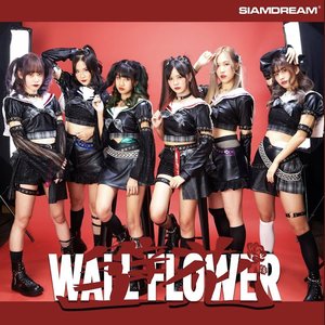 Wallflower