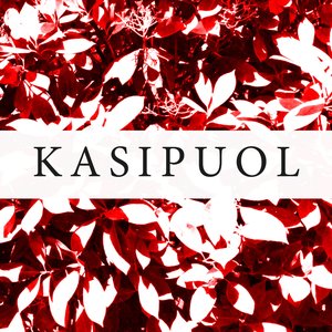 KASIPUOL