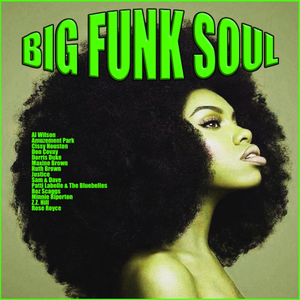 Doris Duke - Big Funk Soul - Zortam Music
