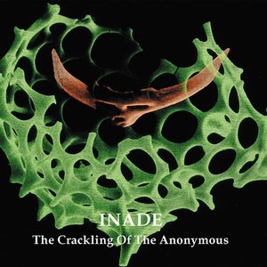 The Crackling Of The Anonymous