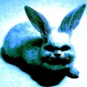e-DOB - Single