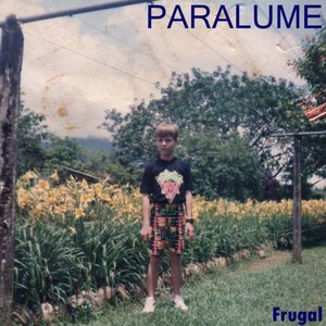 Paralume 的头像