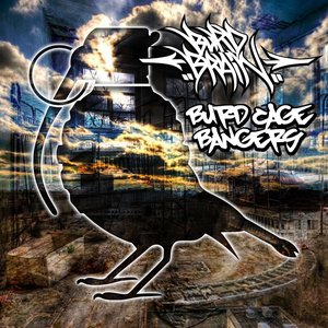 Burd Cage Bangers