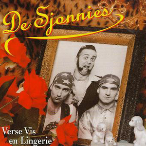 De Sjonnies - Karin Kent - Dans je de hele nacht met mij Lyrics - Zortam Music