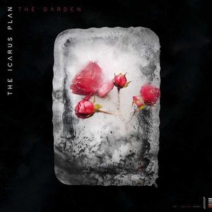 The Garden - Single