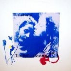 This Brilliant Evening