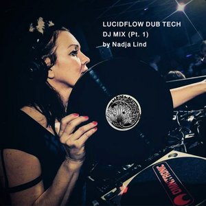 Lucidflow Dub Tech Dj Mix, Pt. 1