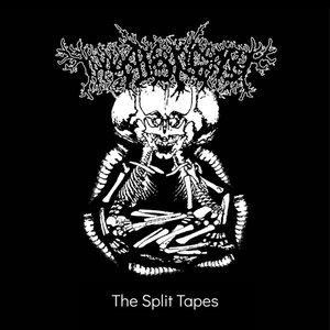 The Split Tapes