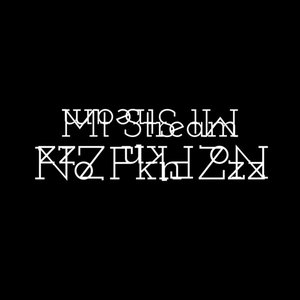 No Fkn Zzz