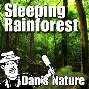 Sleeping Rainforest (Nature Sounds)