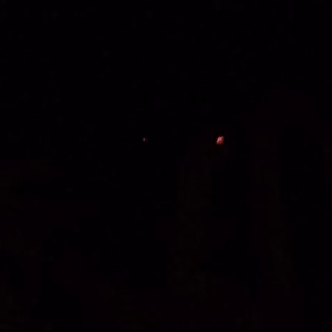 Pooh Shiesty - Back in Blood Lyrics - Zortam Music