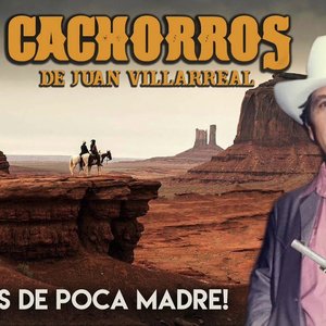 Avatar für Los Cachorros