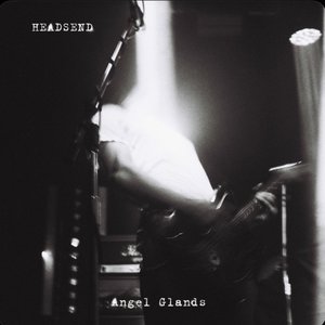 Angel Glands