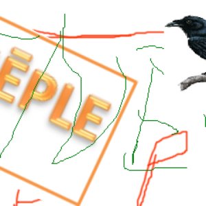 Sneple 的头像