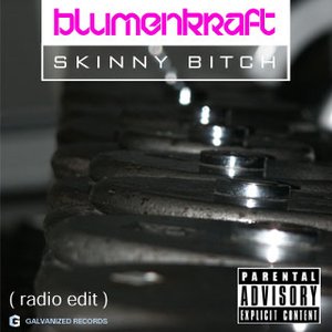 Skinny Bitch (maxi-single)