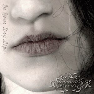 In Your Dry Lips