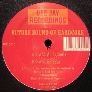 'Future Sound of Hardcore' için resim