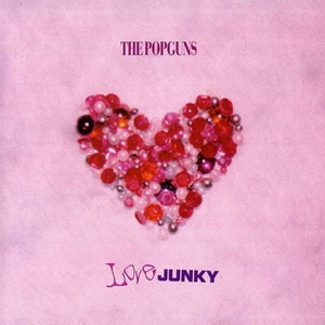 Love Junky cover