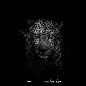 Sound the Alarm - Single
