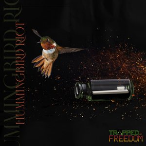 Hummingbird Riot