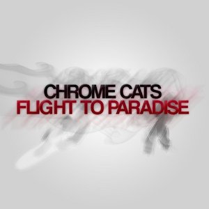 Flight to Paradise