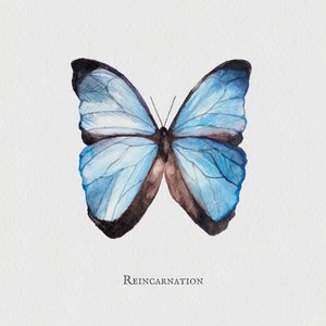 Reincarnation