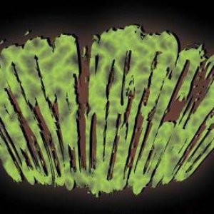 Avatar for massakergore
