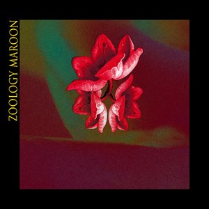 Maroon - Single