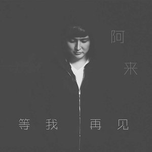 等我，再见